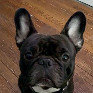 Meet your Posher, Mario